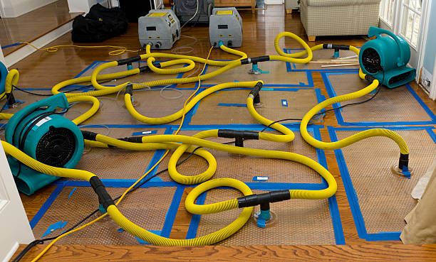 Professional Basement Flood Cleanup technician working in Williamsburg, KY